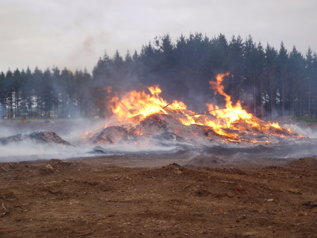 Park fire safety
