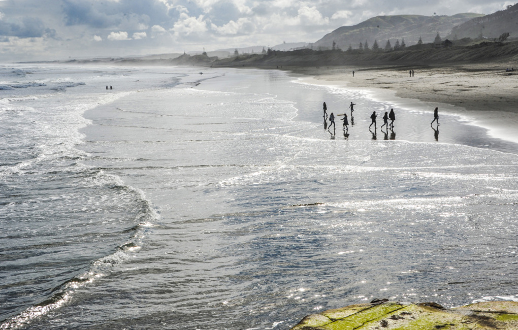 Muriwai beach