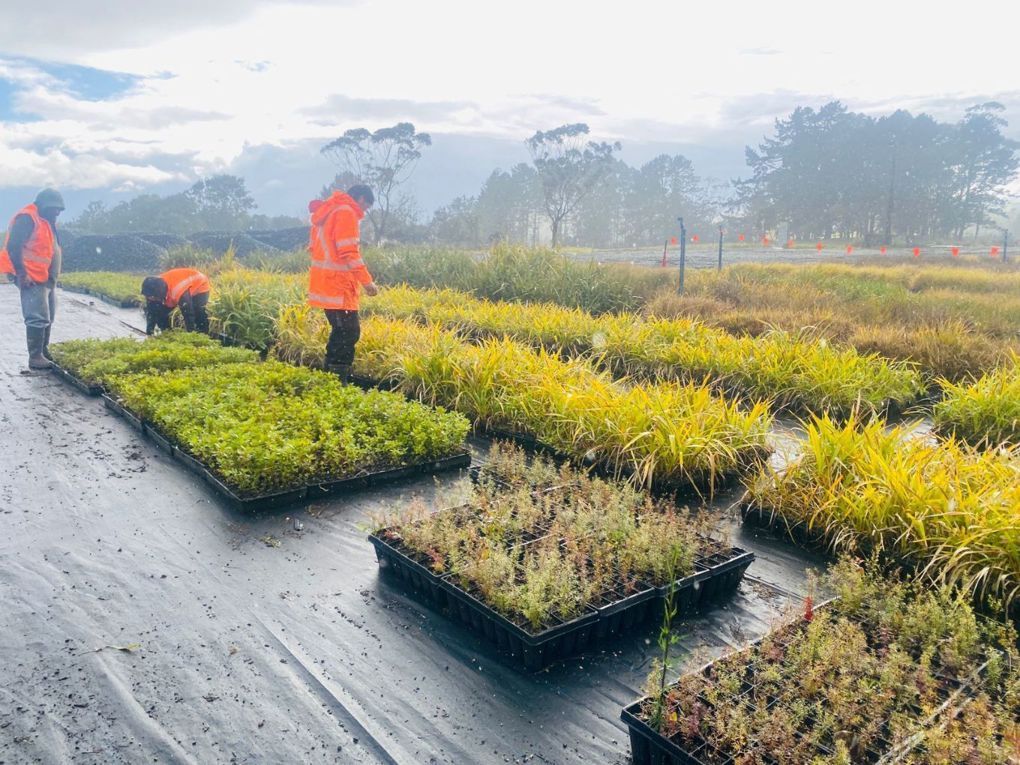 Te Whangai Trust Nursery