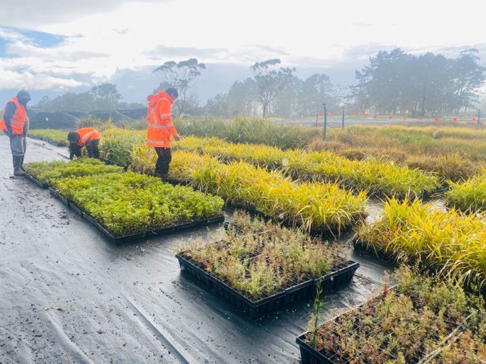Te Whangai Trust Nursery