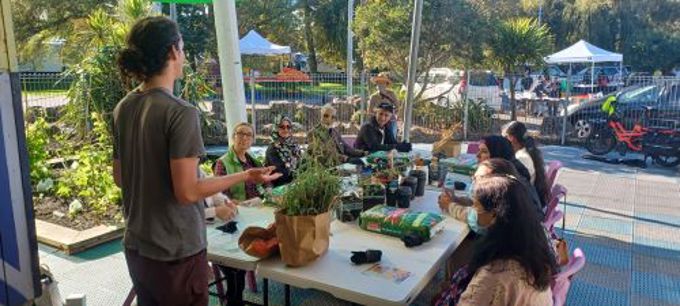 Plant Propagation OA