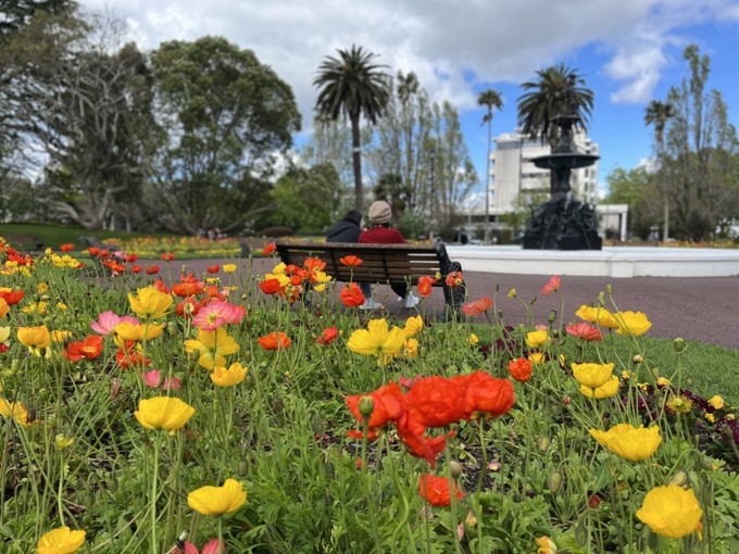 Albert Park Spring