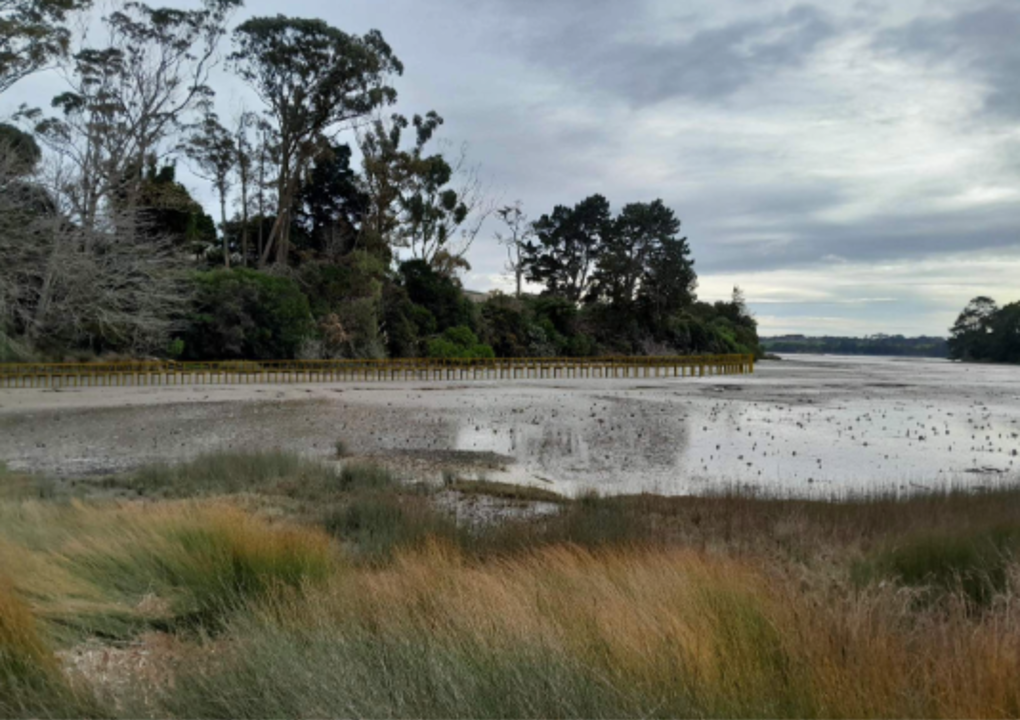 Sandspit Reserve Coastal Path
