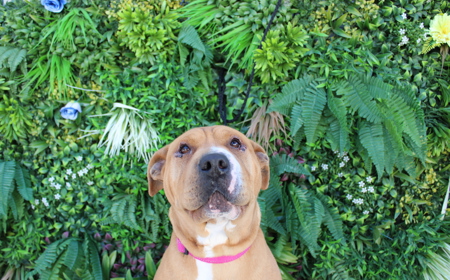 Maggie tile image