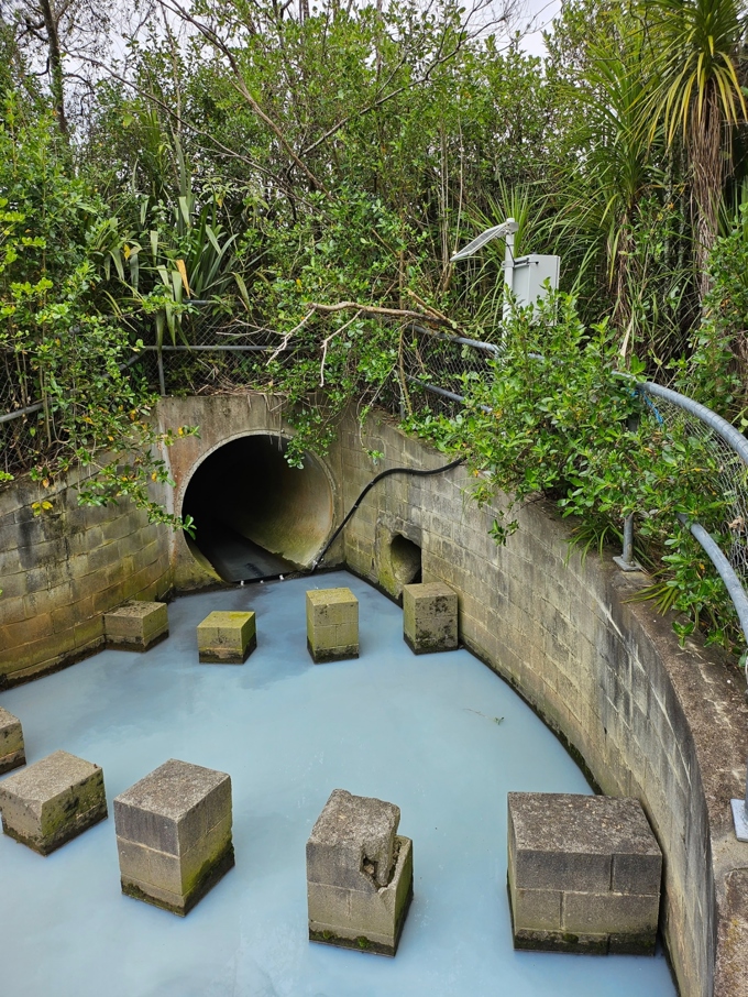 Pollution prevention in Rosedale 1