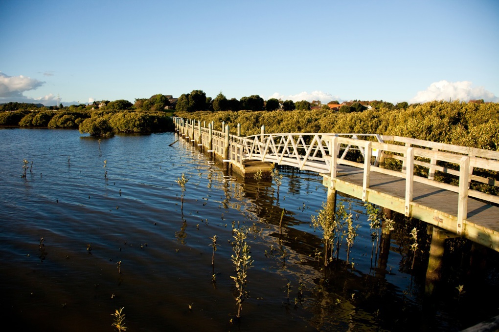 Spotlight on our neighbourhoods  Papakura 1