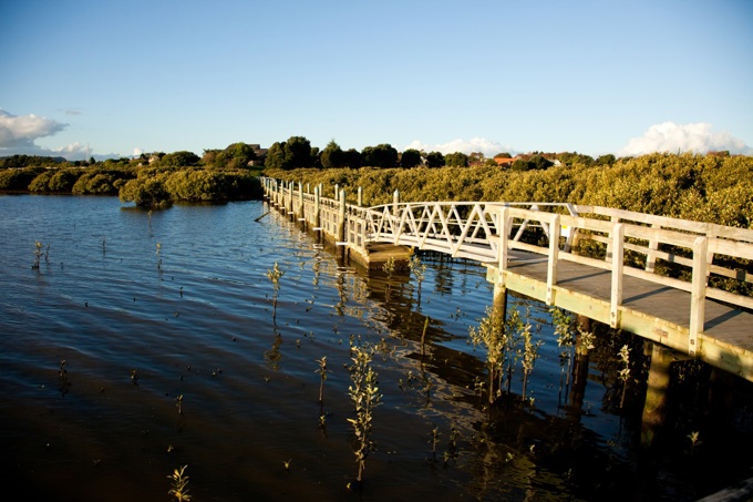 Spotlight on our neighbourhoods  Papakura 1