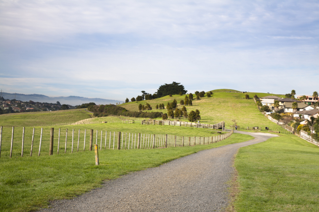 Farming and stock on Auckland Council land