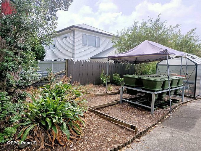 From crumbs to compost in Albert-Eden