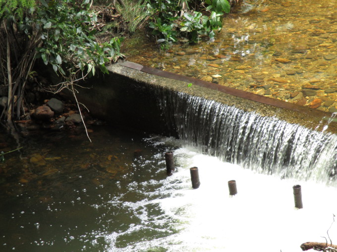 Awana Stream before photo