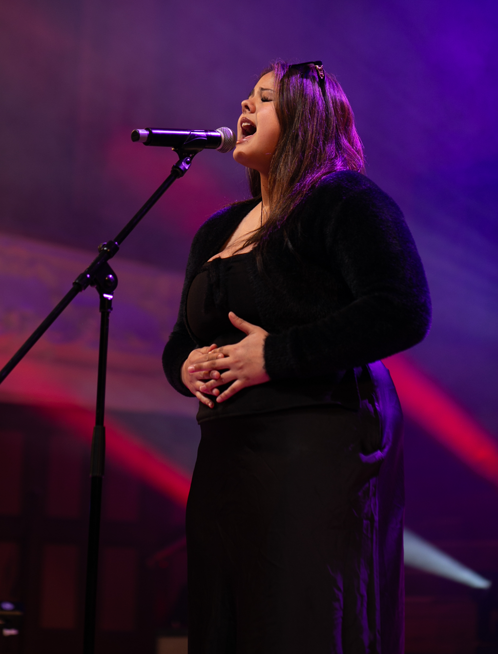 Local Performer image 2