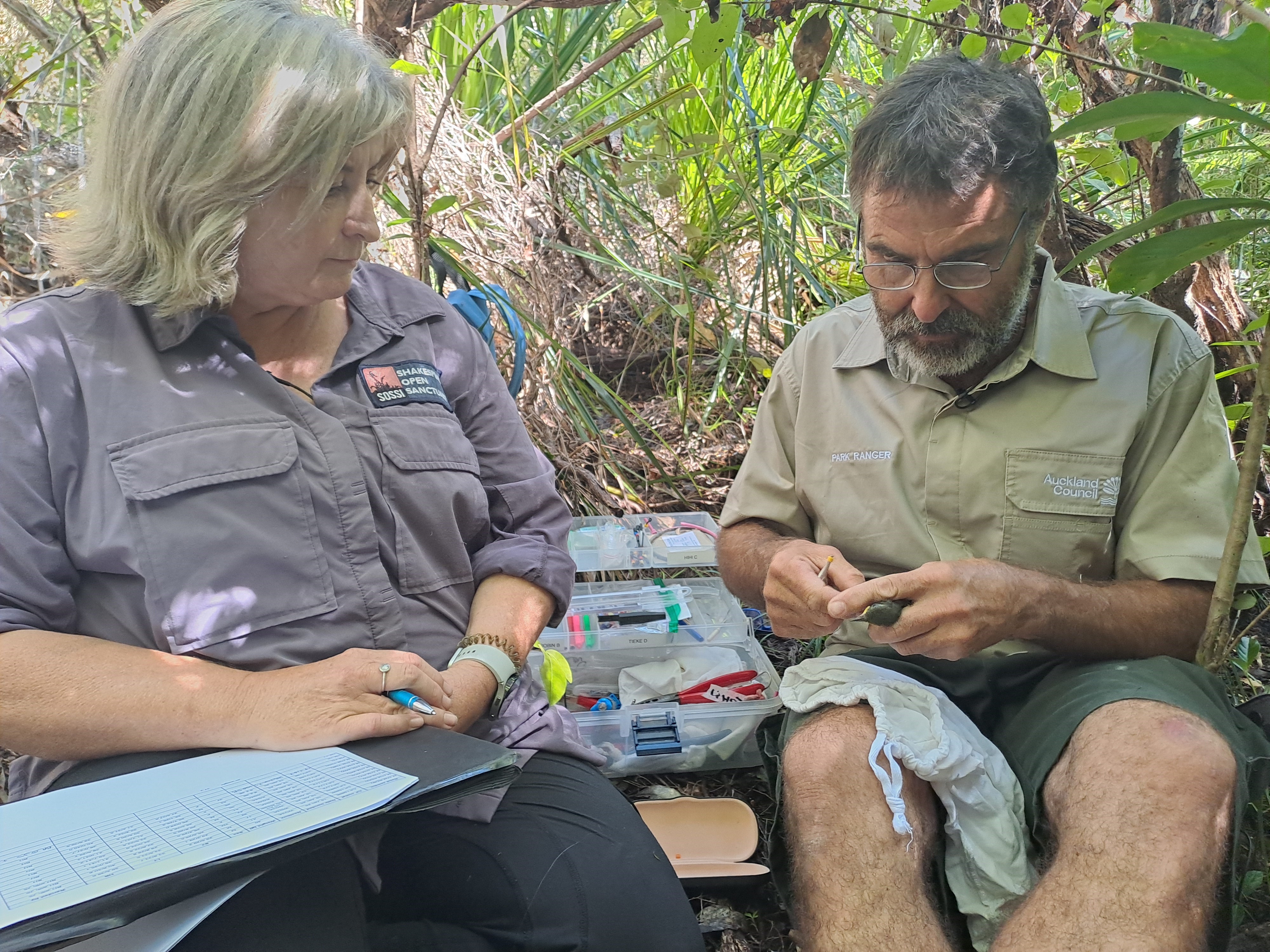 Auckland Council Park Rangers.