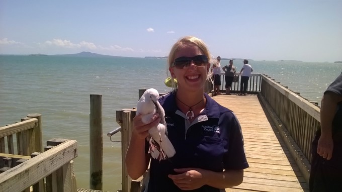 Seagull rescue comes off without a hitch (3).jpg