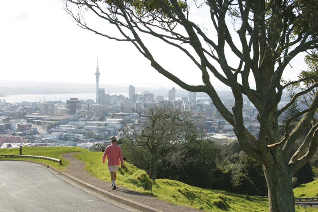 Spotlight on our neighbourhoods Albert-Eden