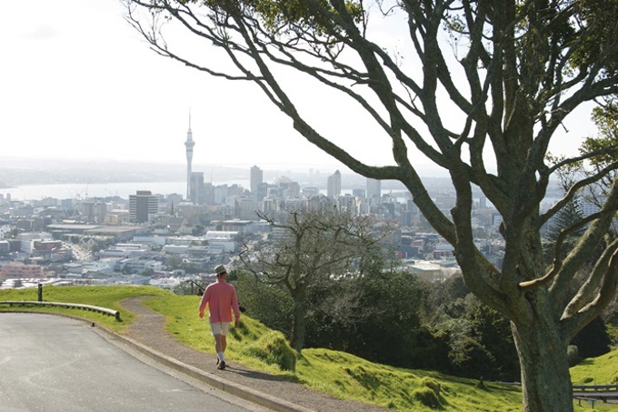 Spotlight on our neighbourhoods Albert-Eden