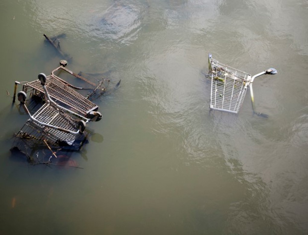 Stream Clean Up