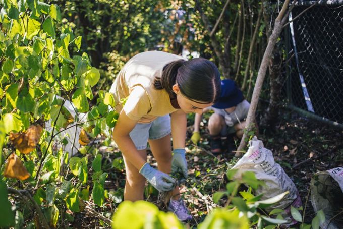 Dundale Stream Care Session web our auck_wo1rzb4l.jpg