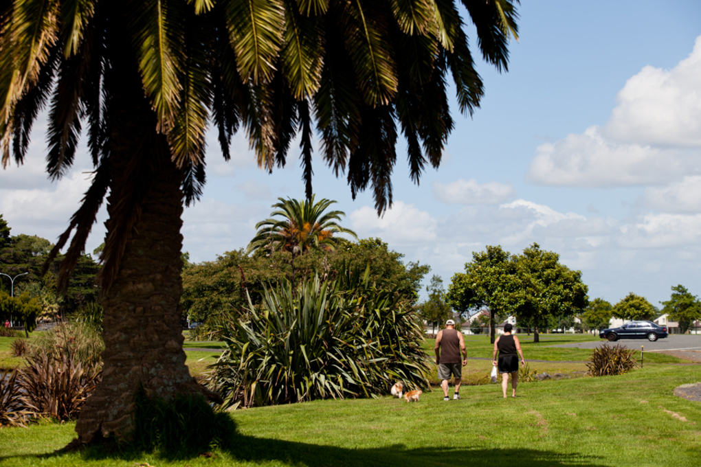 Papakura Enviro