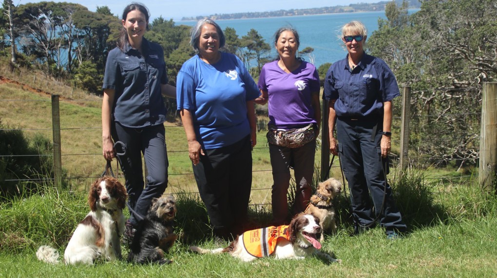 Ac Dog Team