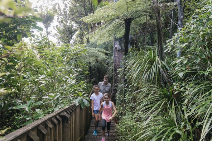 Track work plan for Waitakere Ranges confirmed