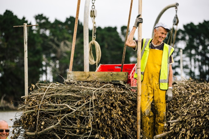 What I love about Waiuku