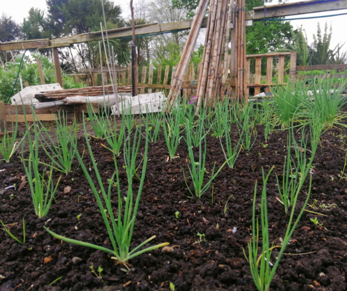 Untitled Design 2026 03 25T151554.606