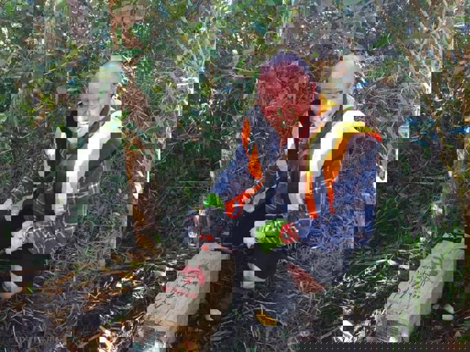 Meet a Pest-Free Hero – Frazer Dale