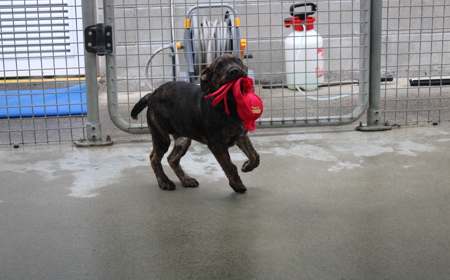 Hampshire tile image