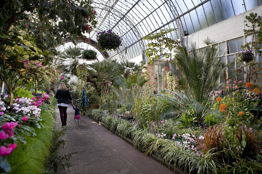 Auckland Council reduces water usage (1)