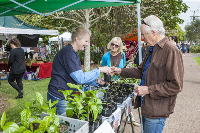 Waiheke will benefit from 10-year recovery budget