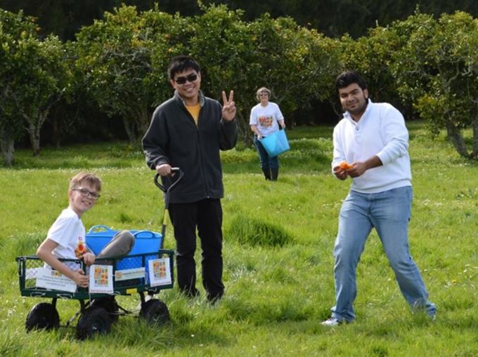 Fun in the orchard