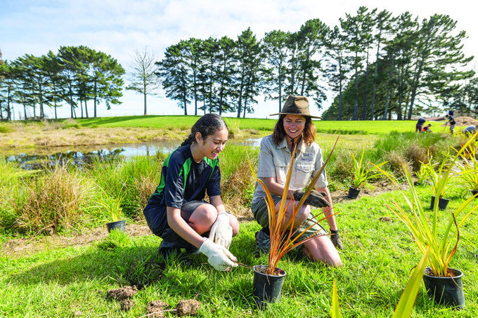 38 413943 Cover Maybe