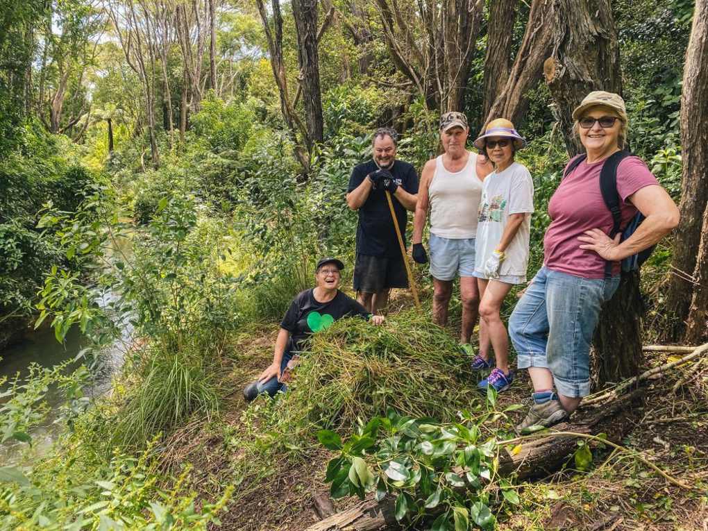 2512-Waimoko-Glen-Stream-Care-edit-1000x750_df3vrg4e.jpg