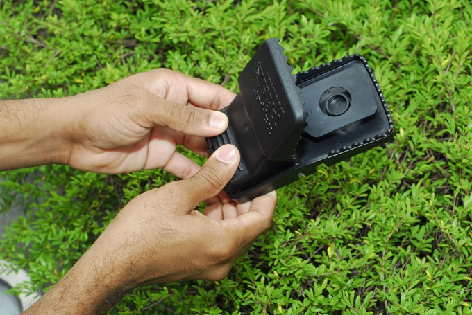 Tips for trapping rats