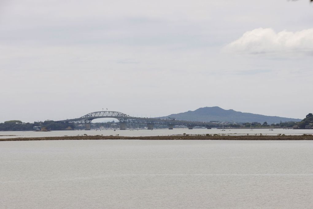 Auckland View