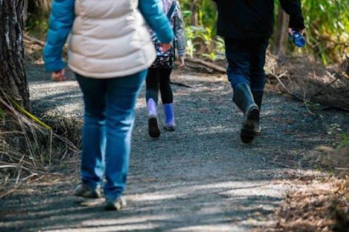 generic walking in bush pic_nkruhv3t.jpg