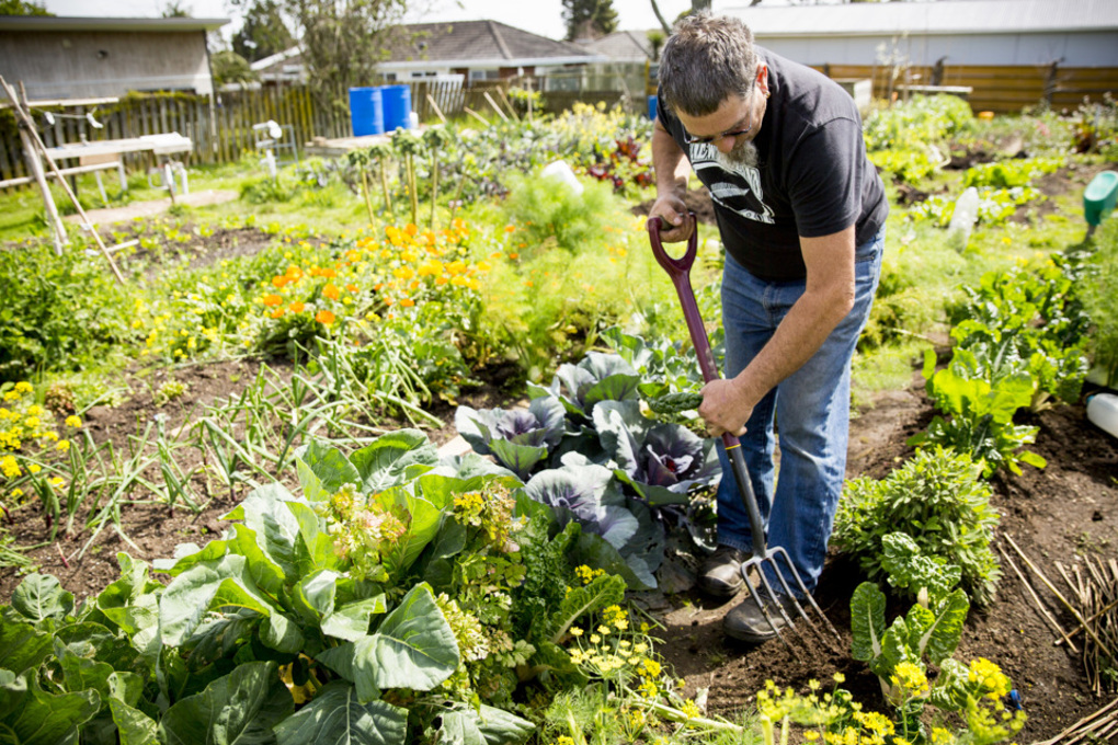 Teaching gardens 1