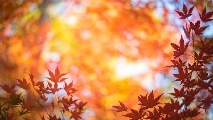 OurAuckland_Random musings_image_42ouri3l.jpg