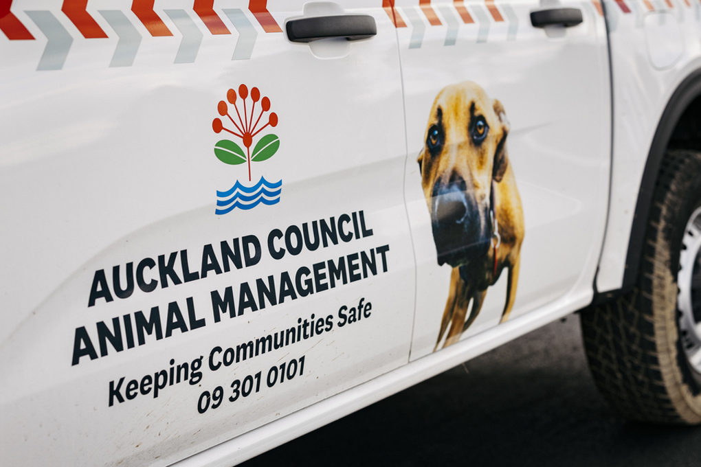 Animal Management