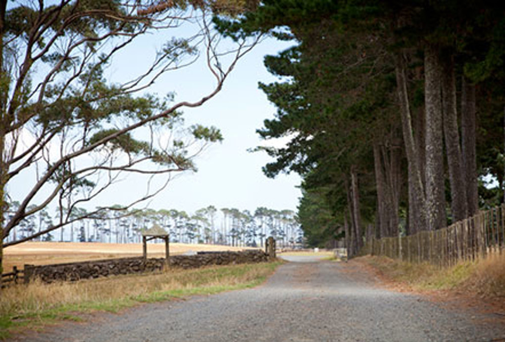 work starts on colin dale park motorsport venue