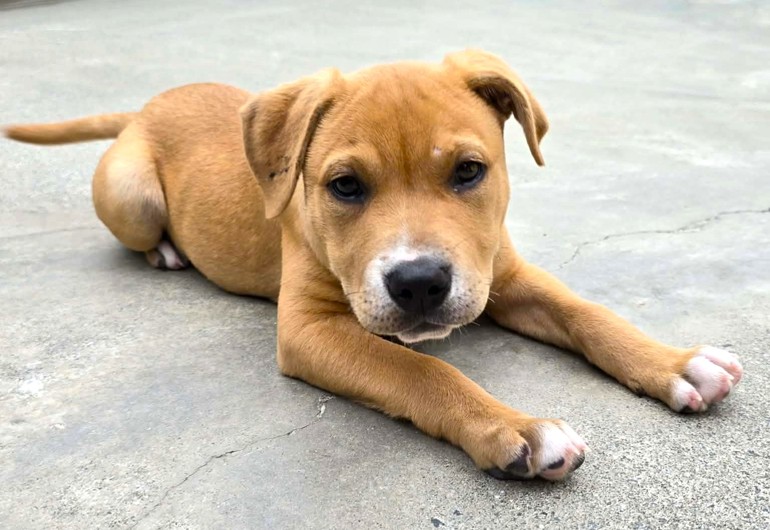 663910854 3381619515326941 765445199559995834 N