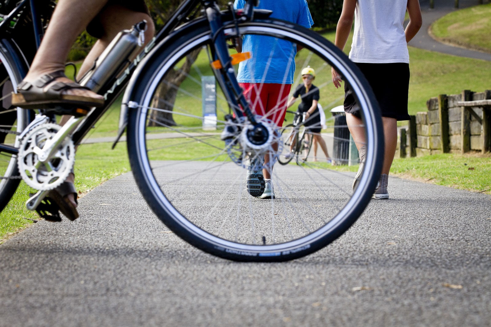 Close up image of a bike wheel on a path with green grass either side.