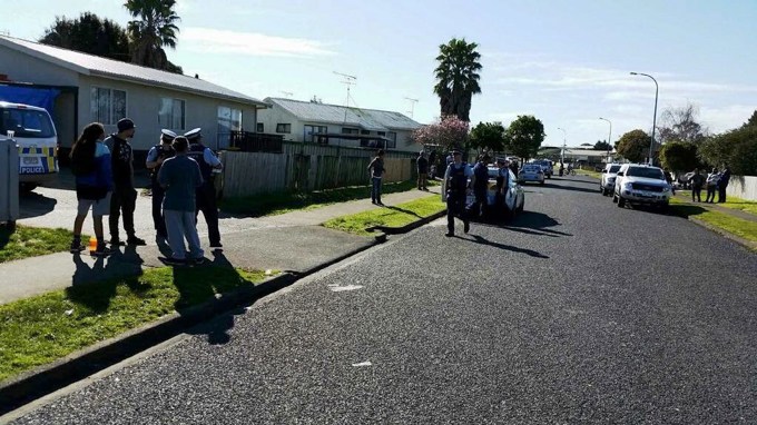 Crackdown on menacing dogs enters new phase