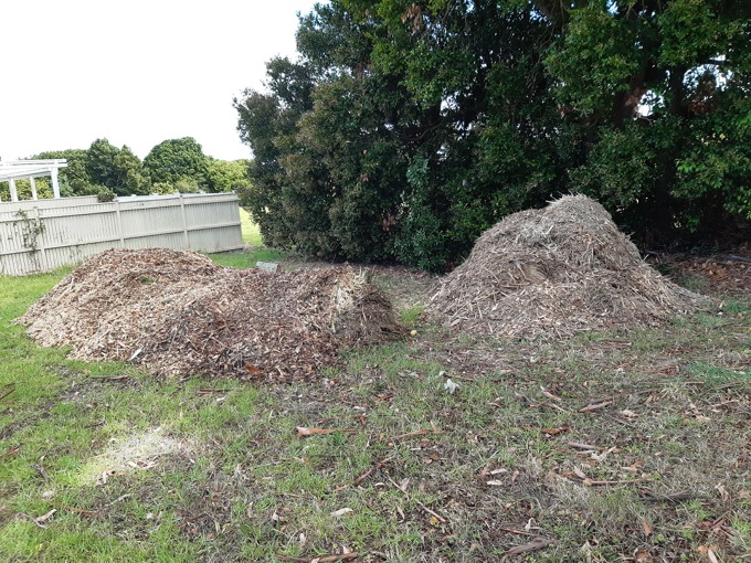 Mulch Dumped Nov Prosecution