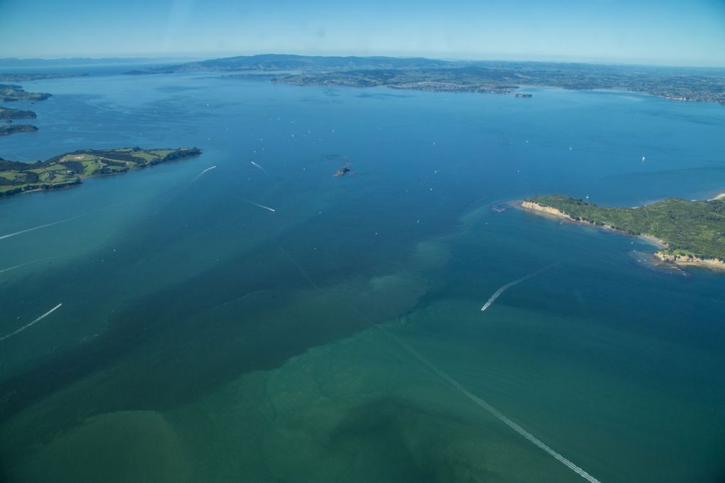 The Hauraki Gulf