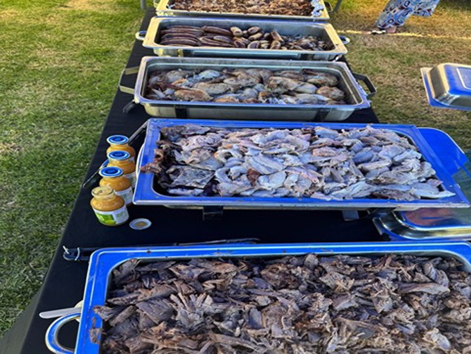 Response 7 Pasifika Day Waiheke Island 3