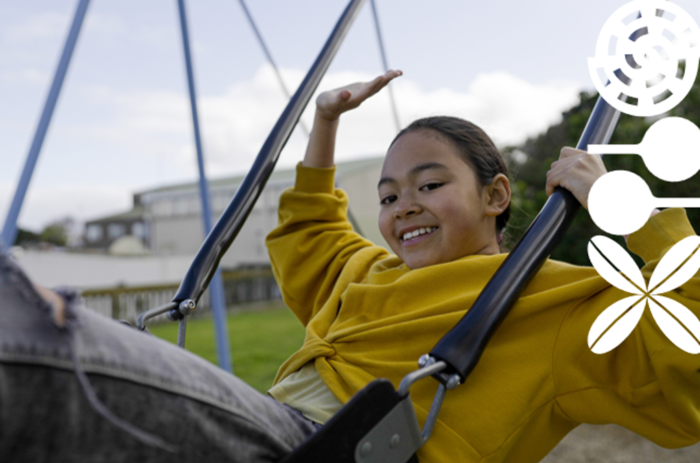 OP Multi Playground Consultation Image