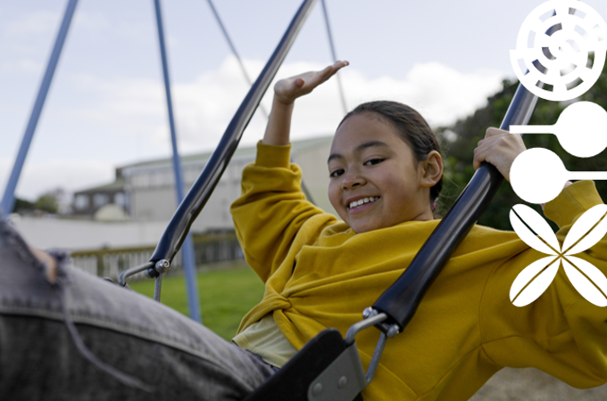 OP Multi Playground Consultation Image