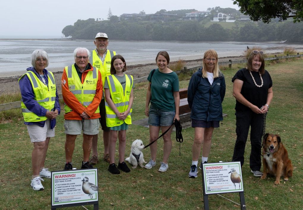 Dog rule change to safeguard nesting birds at Big Manly and Tindalls