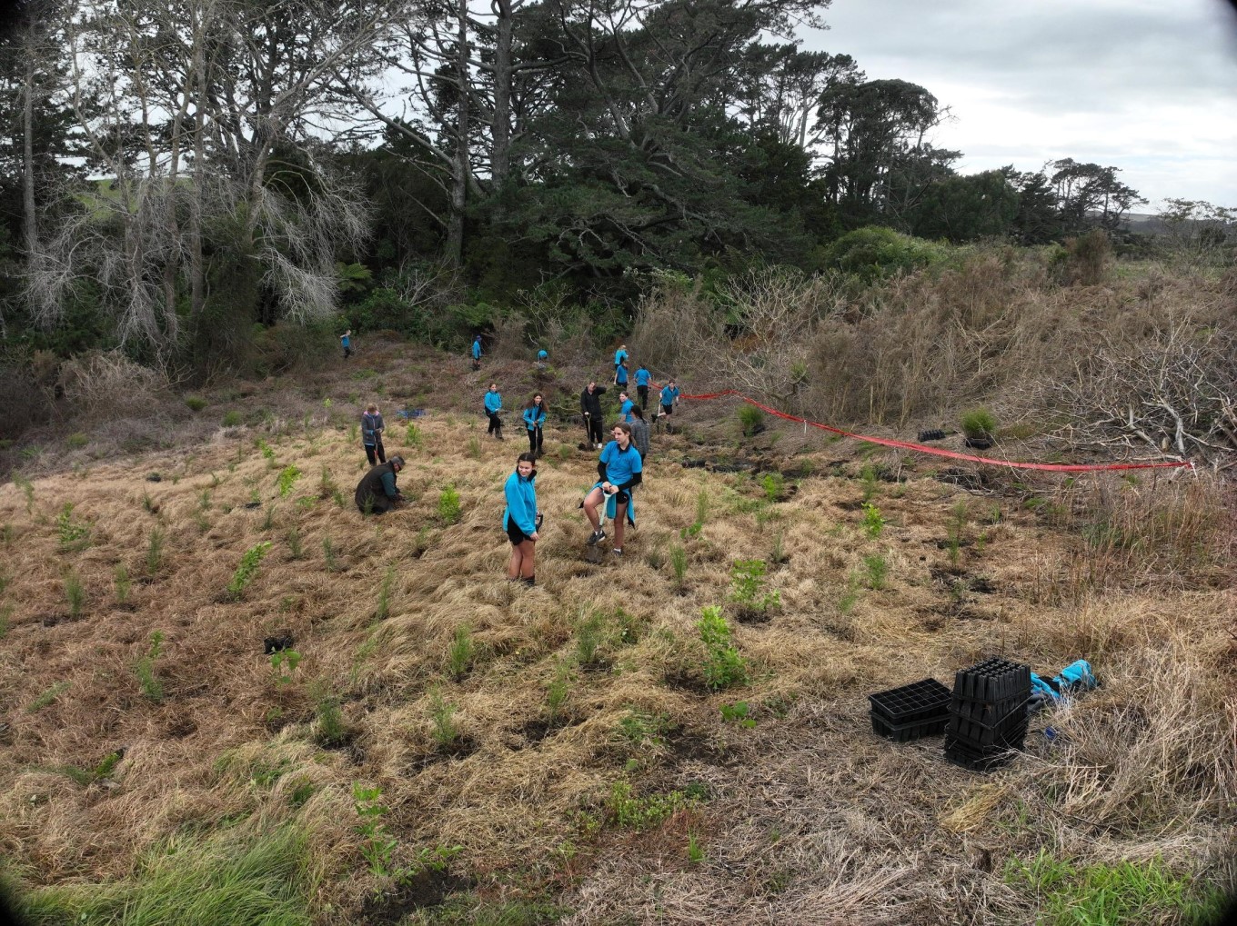 Kids landscaping at Awhitu. 